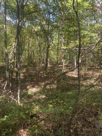 399 Gap Road Altamont TN 37301