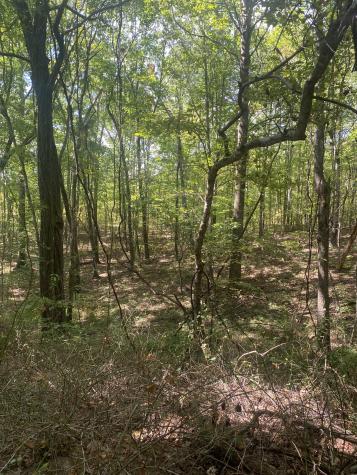 399 Gap Road Altamont TN 37301