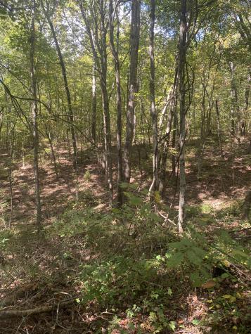 399 Gap Road Altamont TN 37301