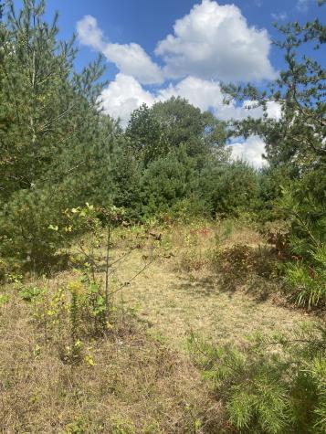 399 Gap Road Altamont TN 37301