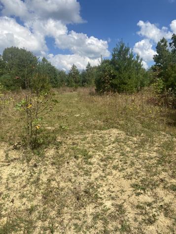 399 Gap Road Altamont TN 37301