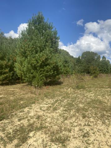 399 Gap Road Altamont TN 37301