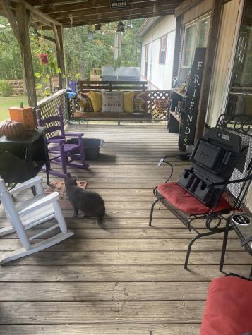 399 Gap Road Altamont TN 37301