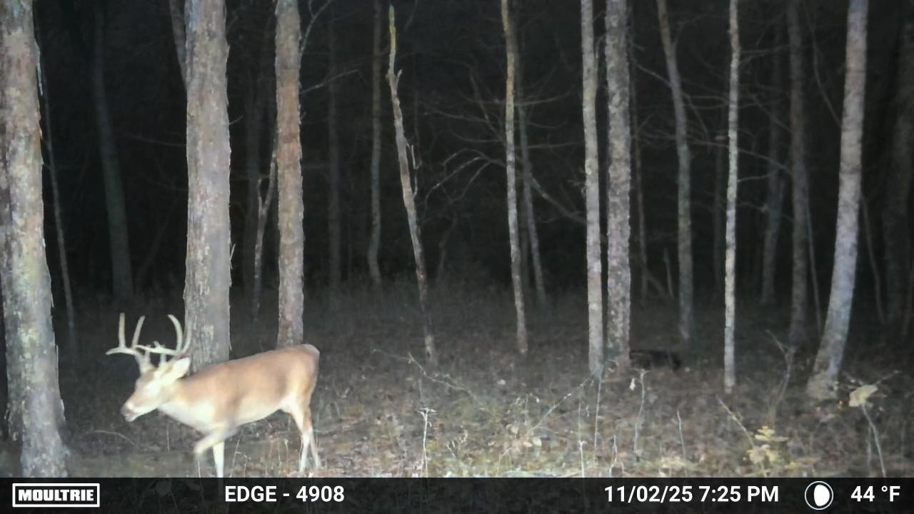 0 Duke Hollow Lane Carthage TN 37030