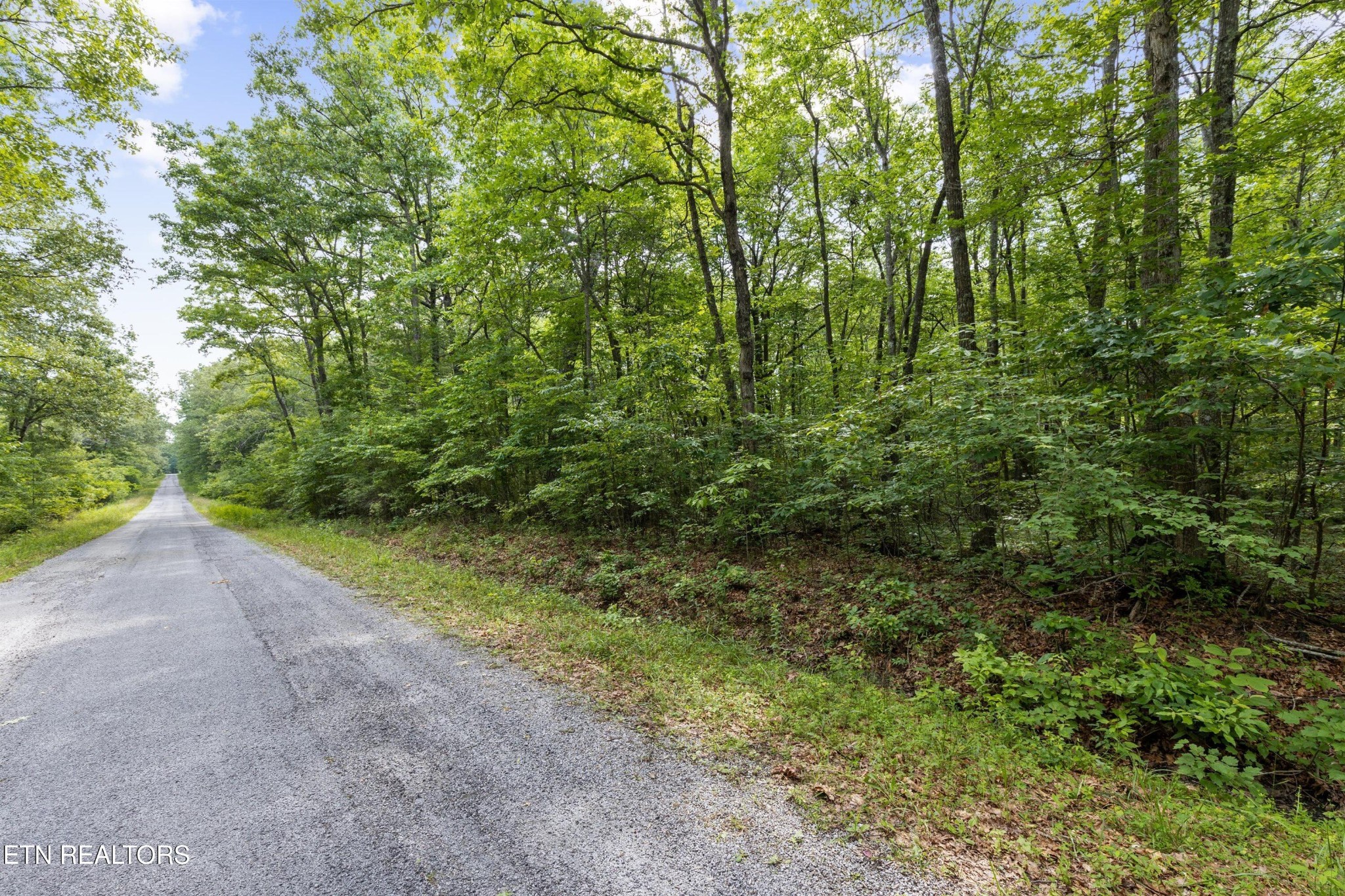 40024004 Desoto Drive Crossville TN 38572