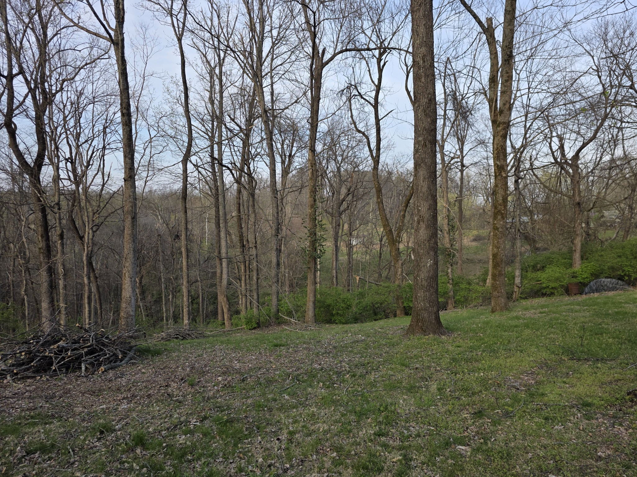 0 Griffith Road Nashville TN 37221