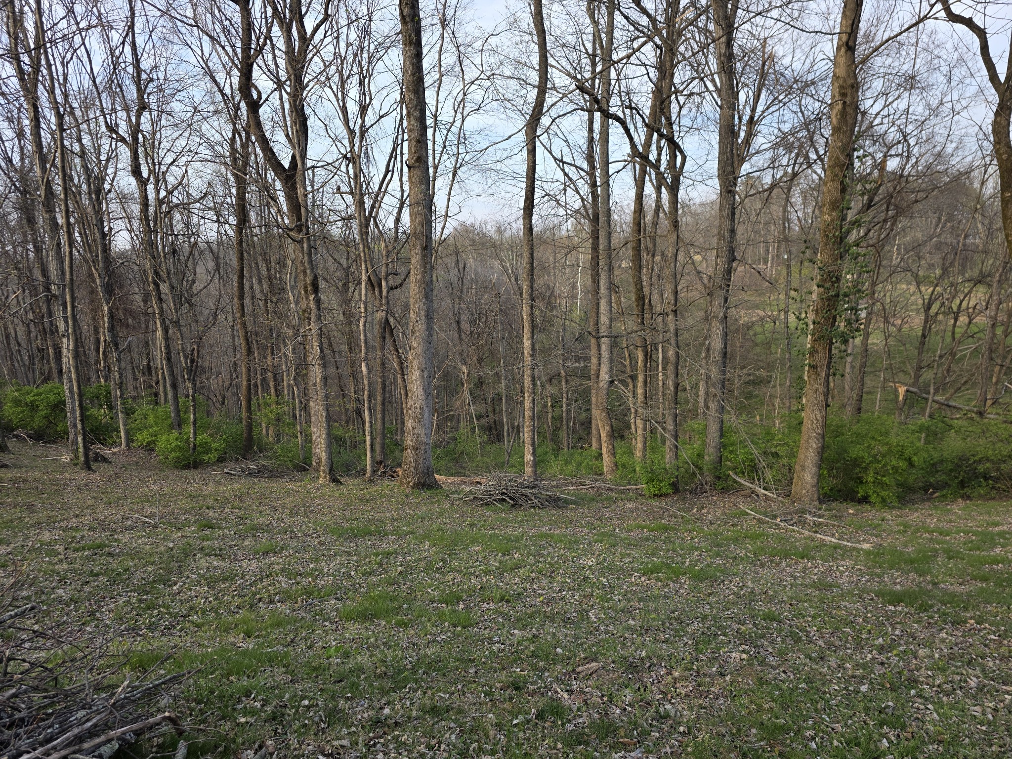 0 Griffith Road Nashville TN 37221