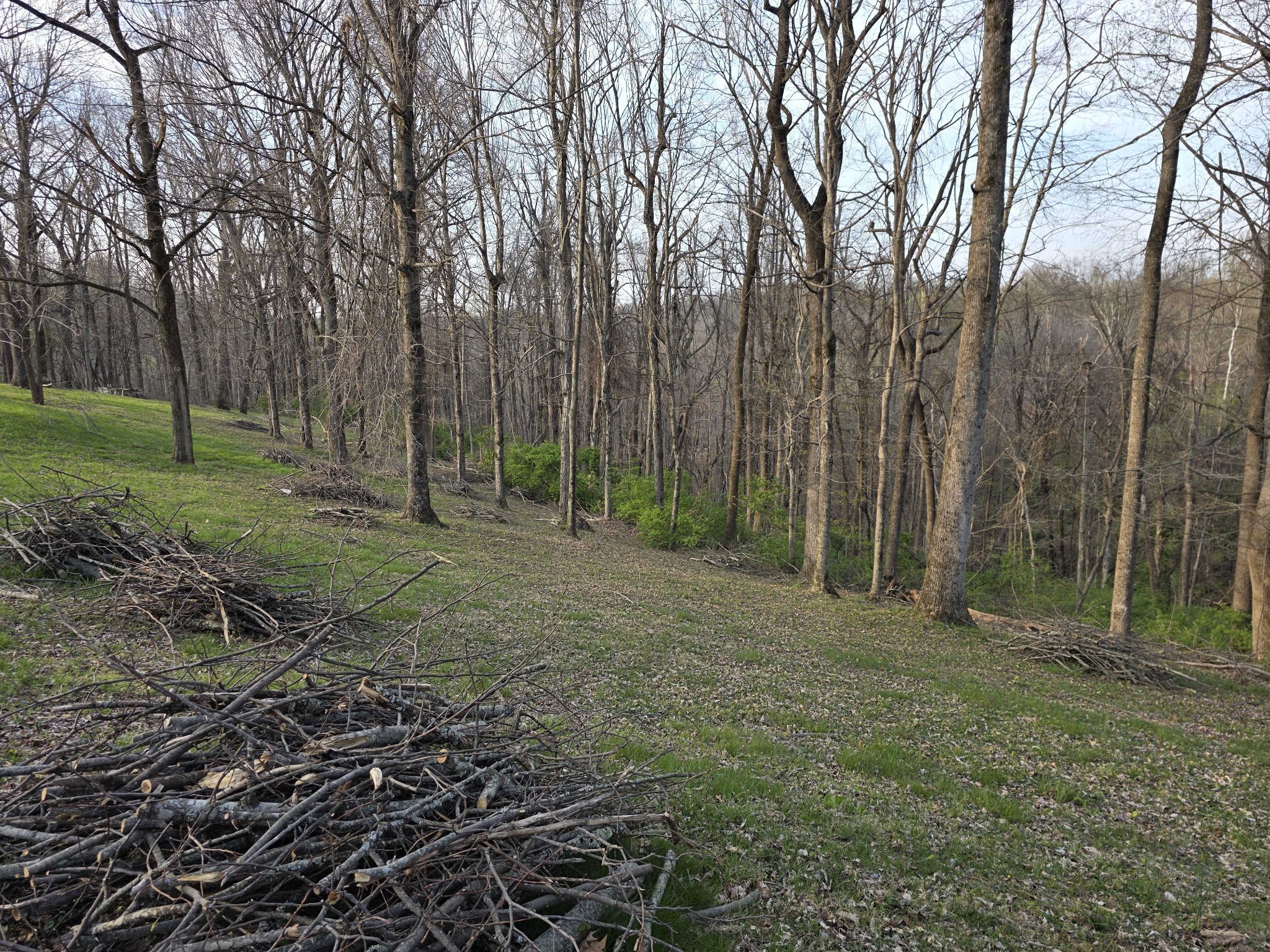 0 Griffith Road Nashville TN 37221