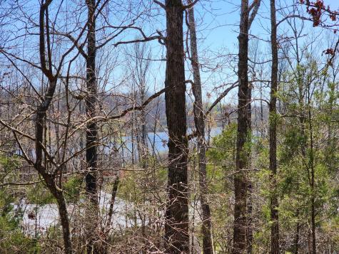 0 Honeysuckle Lane Lobelville TN 37097