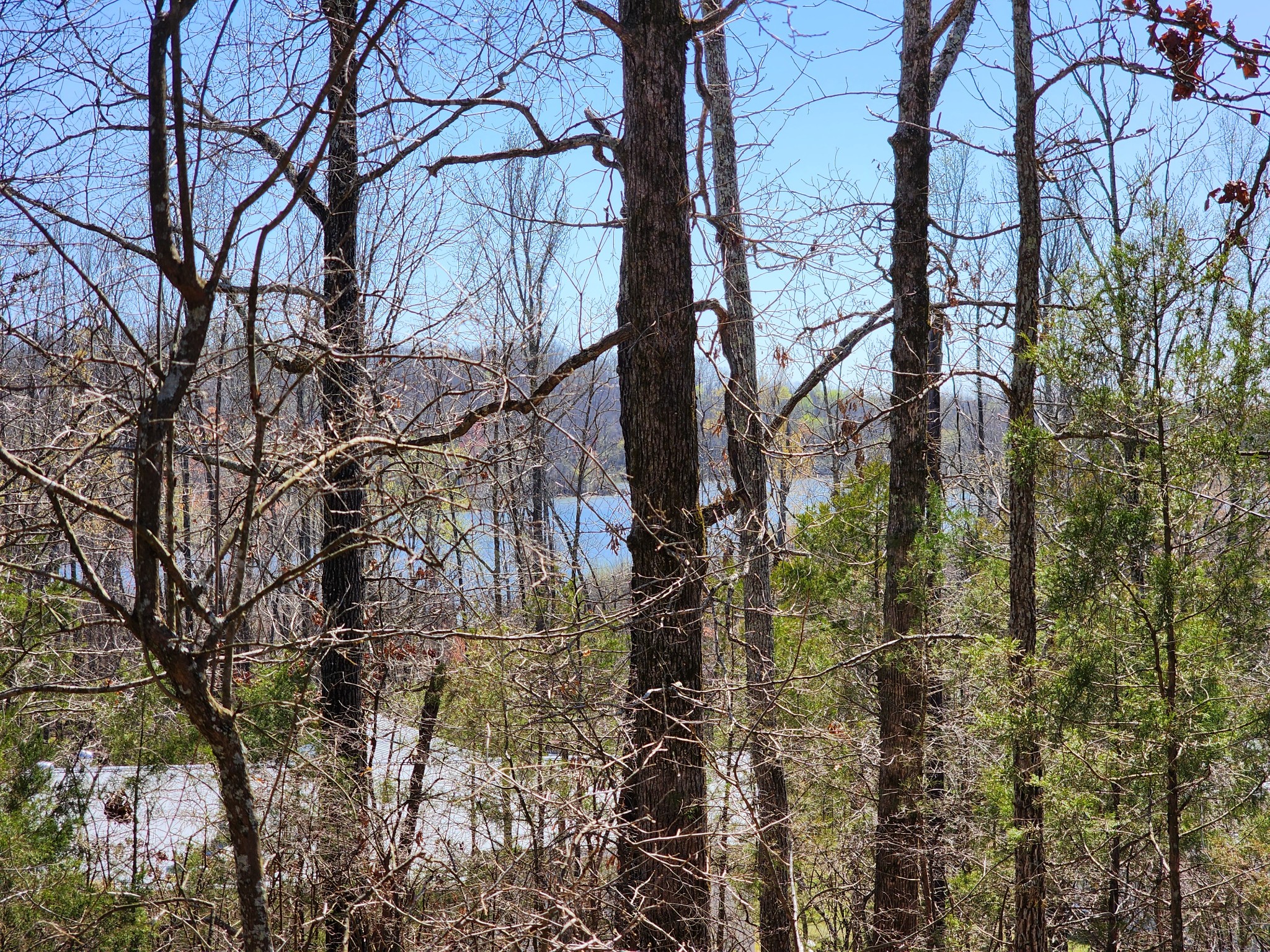 0 Honeysuckle Lane Lobelville TN 37097