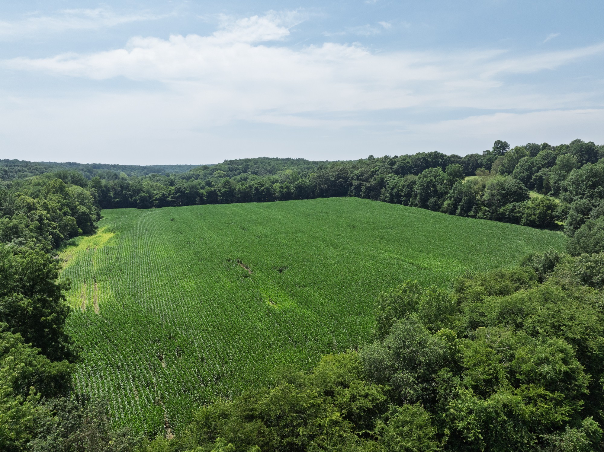4776 Highway 48 Cumberland Furnace TN 37051