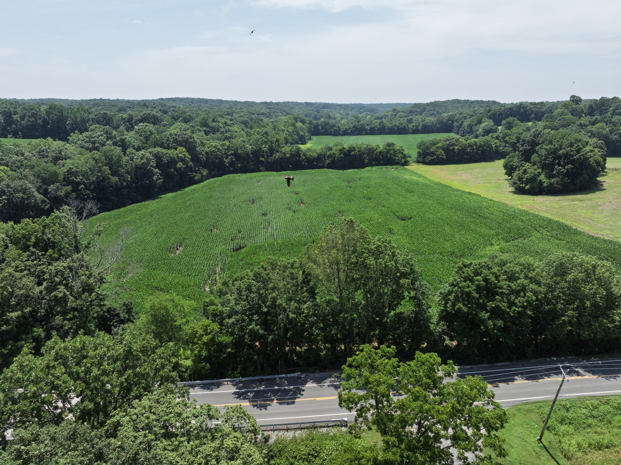 4776 Highway 48 Cumberland Furnace TN 37051