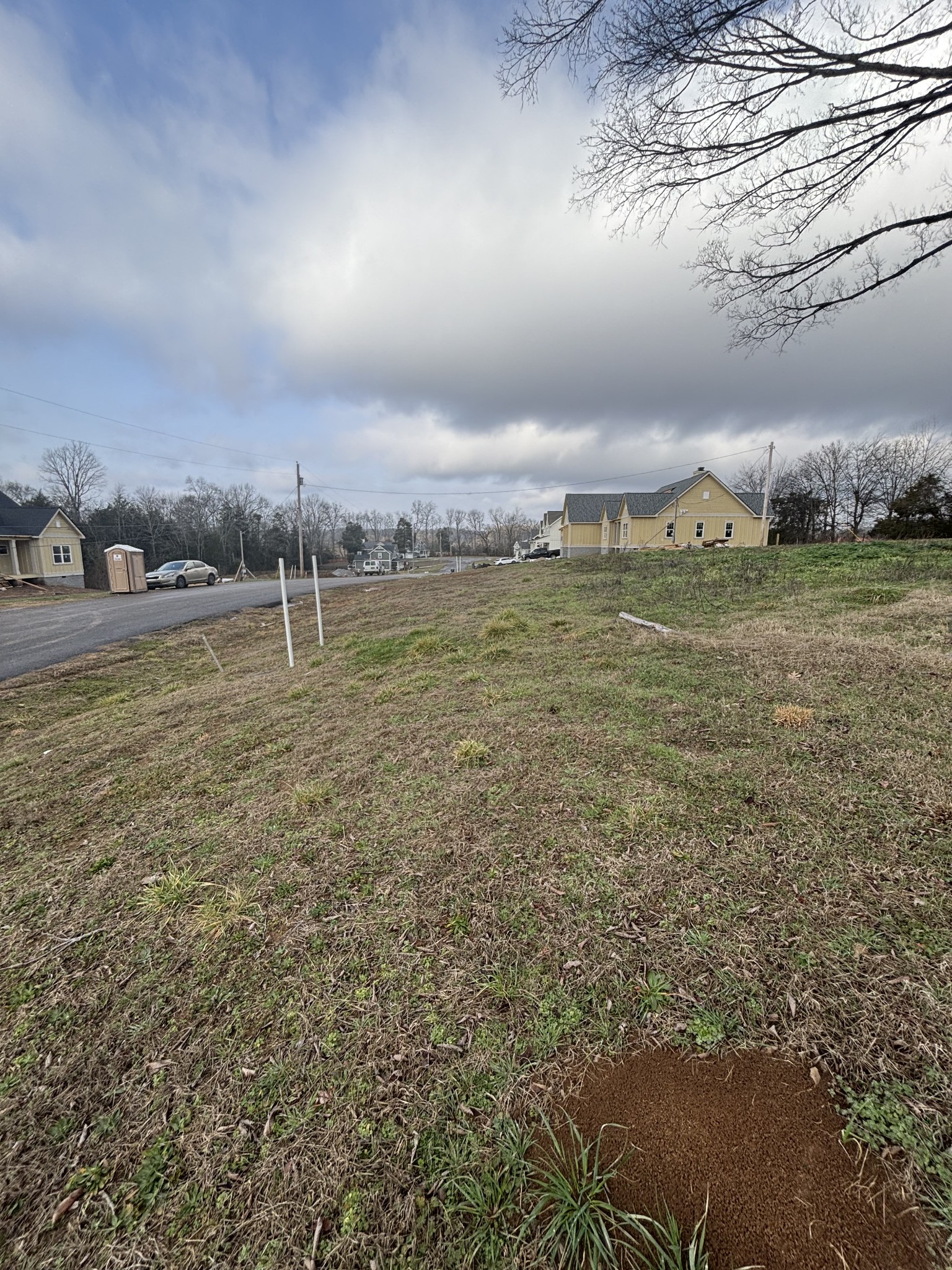 0 Cedar Valley Court Pegram TN 37143