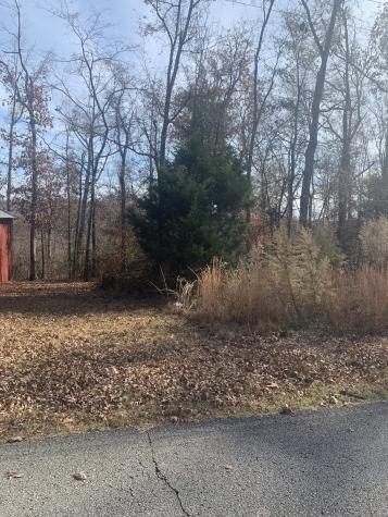 0 Lower Roans Creek Road Linden TN 37096