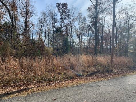 0 Lower Roans Creek Road Linden TN 37096