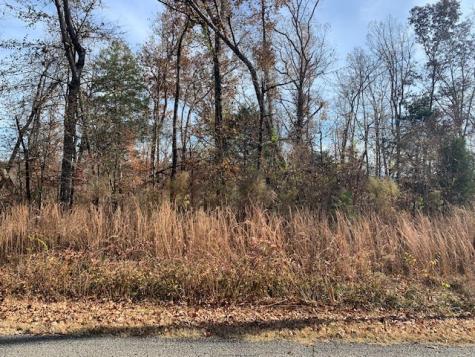 0 Lower Roans Creek Road Linden TN 37096