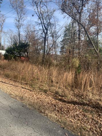 0 Lower Roans Creek Road Linden TN 37096