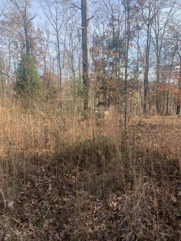 0 Lower Roans Creek Road Linden TN 37096