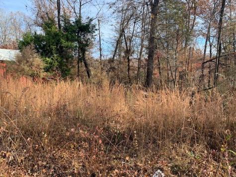 0 Lower Roans Creek Road Linden TN 37096