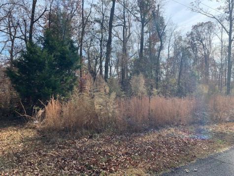 0 Lower Roans Creek Road Linden TN 37096