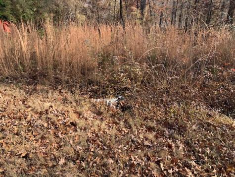 0 Lower Roans Creek Road Linden TN 37096