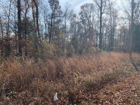 0 Lower Roans Creek Road Linden TN 37096