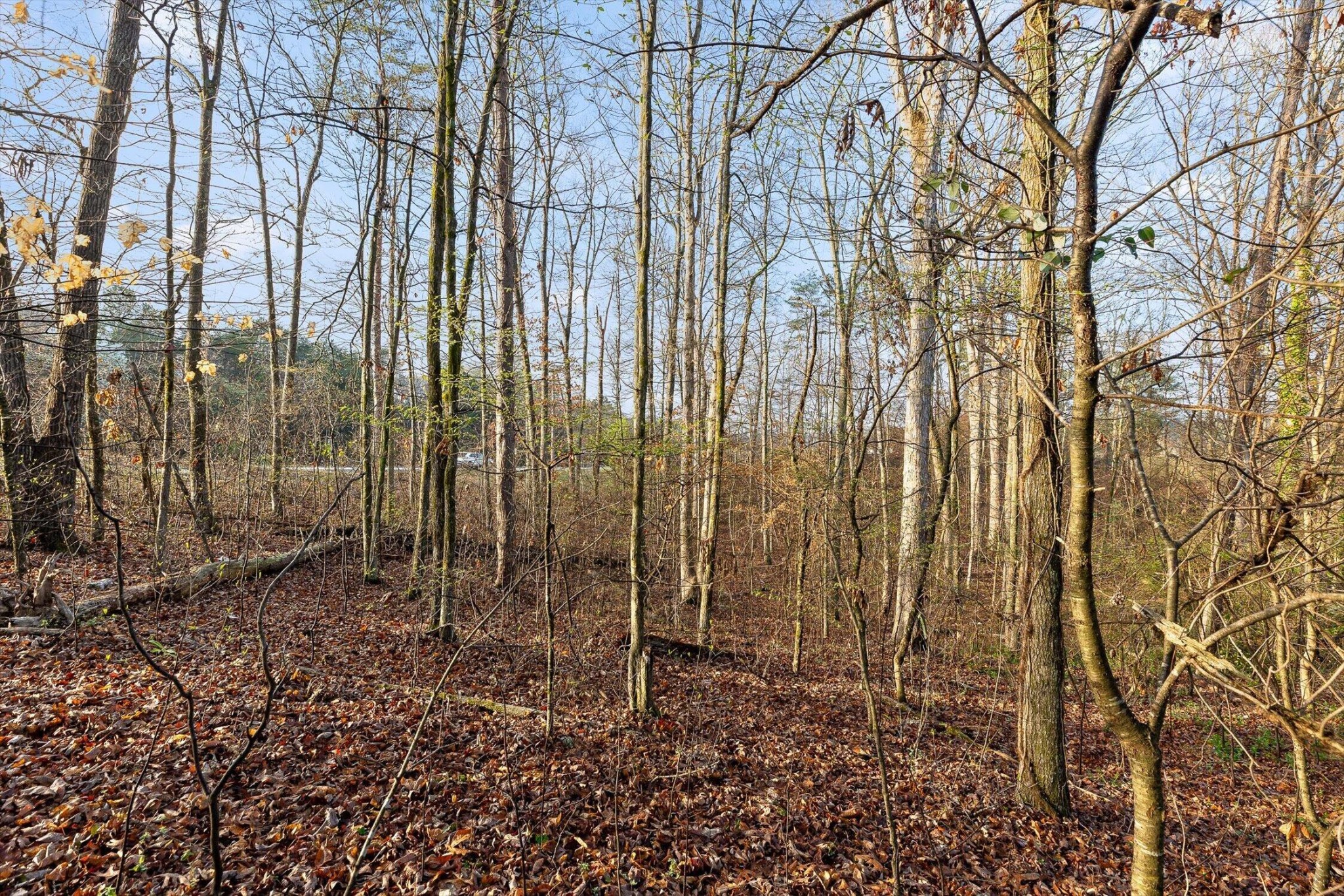 8961 Highway 58 Harrison TN 37341