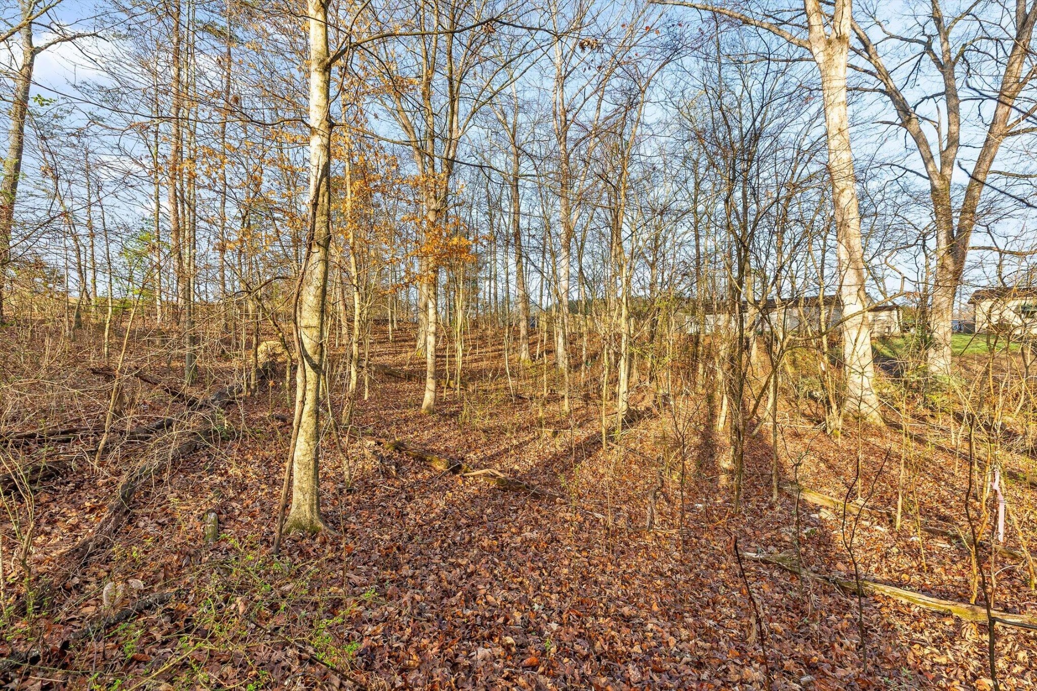 8961 Highway 58 Harrison TN 37341
