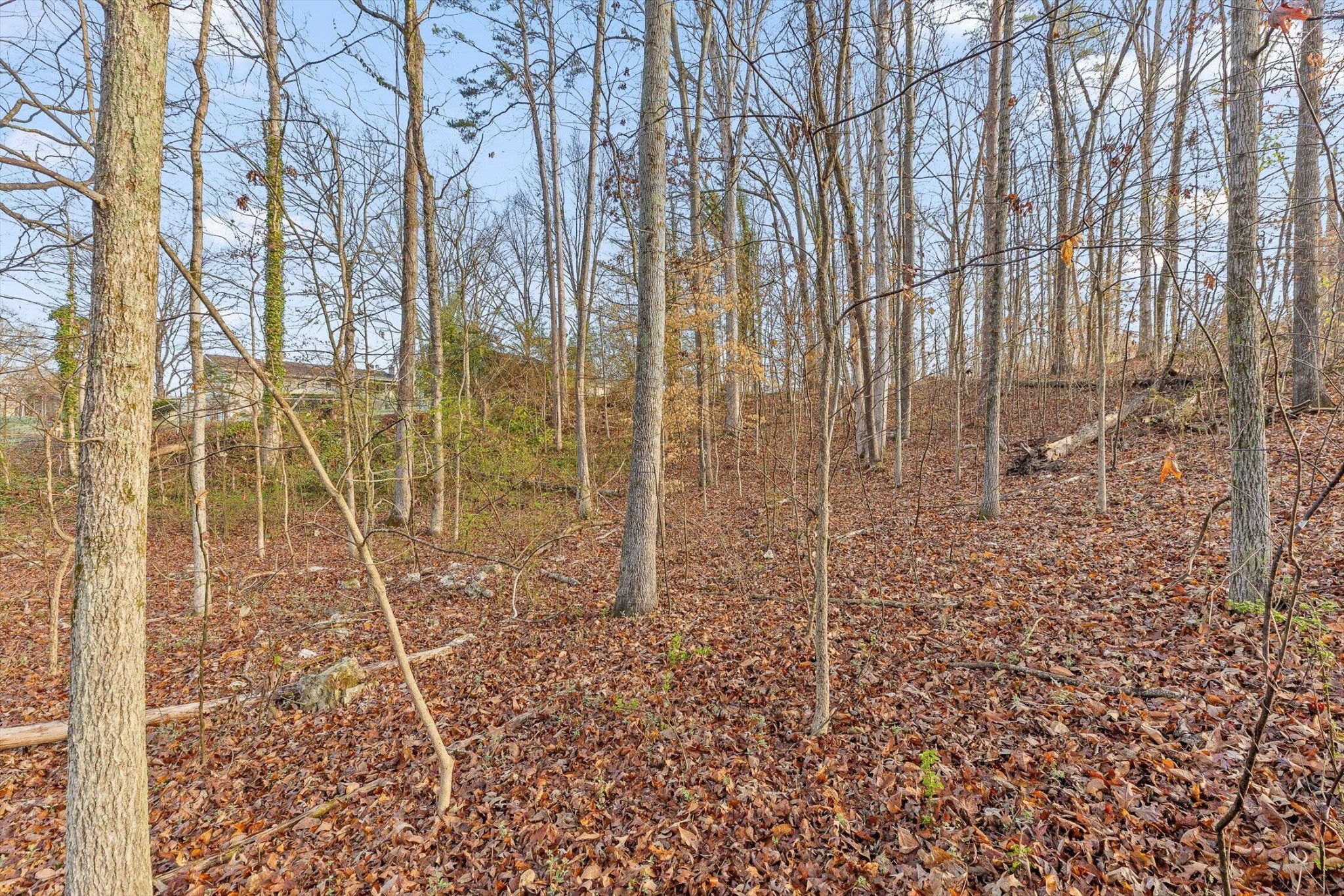 8961 Highway 58 Harrison TN 37341