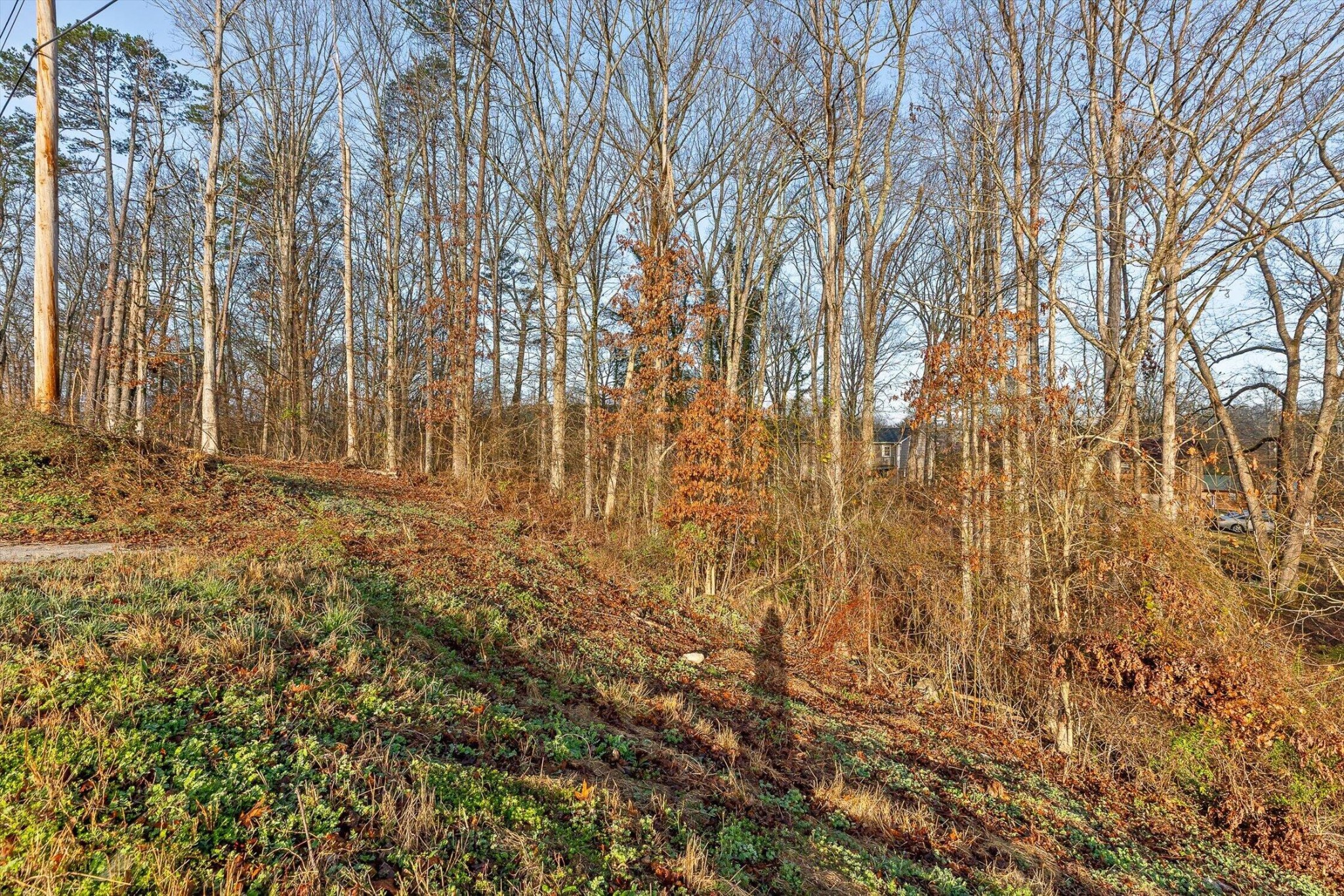 8961 Highway 58 Harrison TN 37341