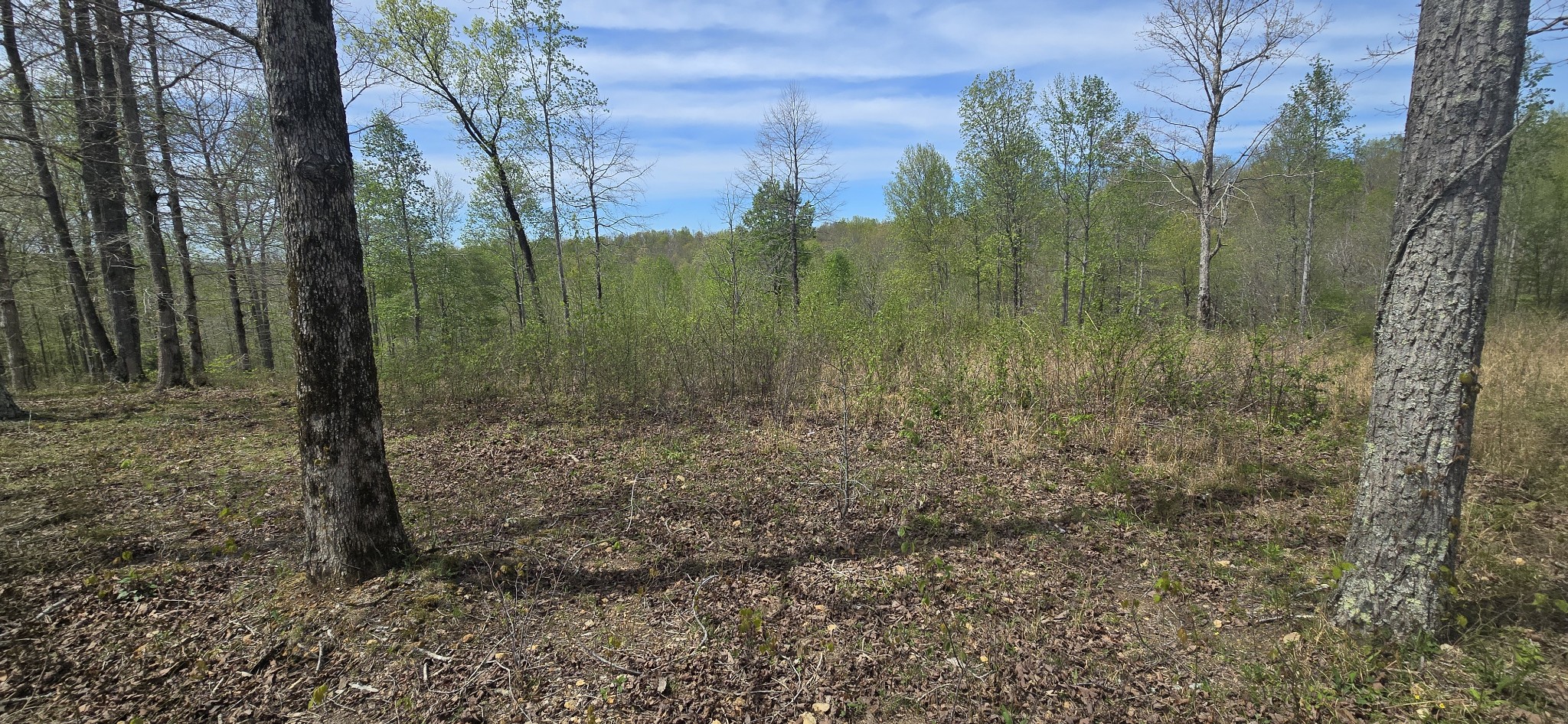 360 James Zimmerman Road Hampshire TN 38461