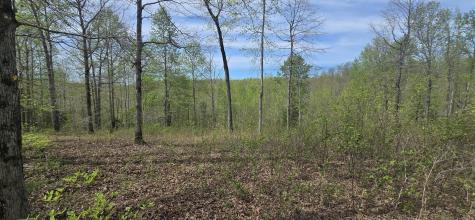 360 James Zimmerman Road Hampshire TN 38461