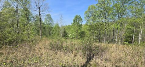360 James Zimmerman Road Hampshire TN 38461