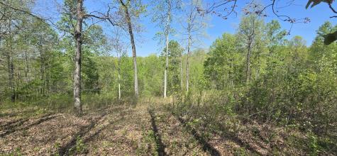 360 James Zimmerman Road Hampshire TN 38461