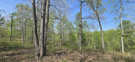 360 James Zimmerman Road Hampshire TN 38461