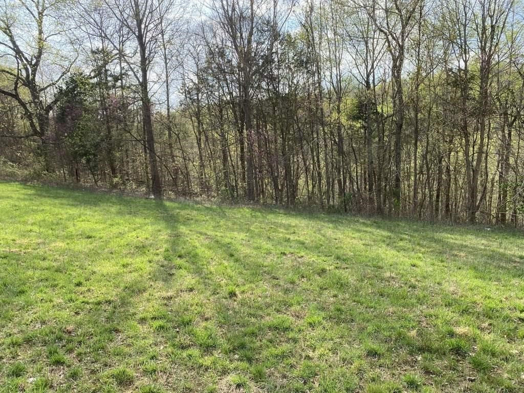 0 Carthage Road Pleasant Shade TN 37145