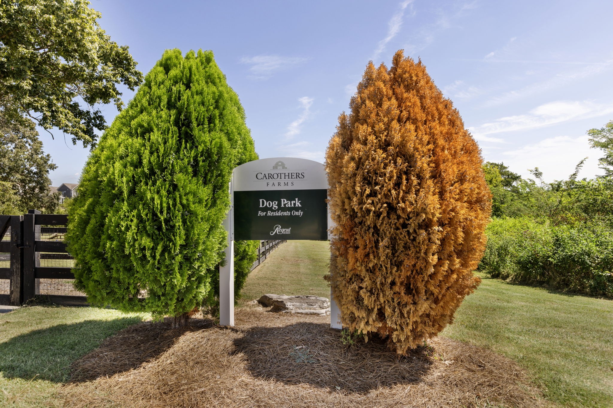 1936 Grace Point Lane Nolensville TN 37135