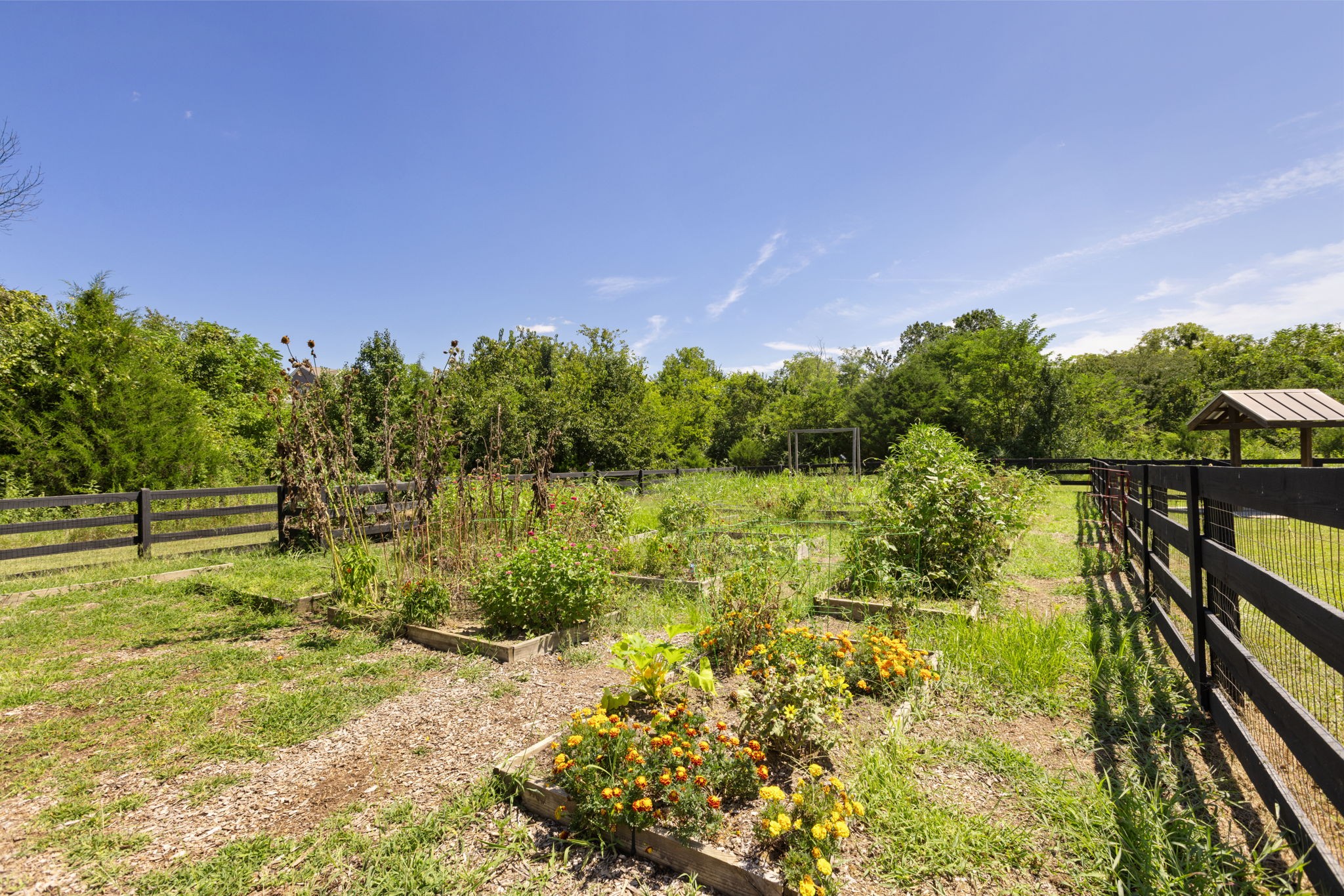 1936 Grace Point Lane Nolensville TN 37135