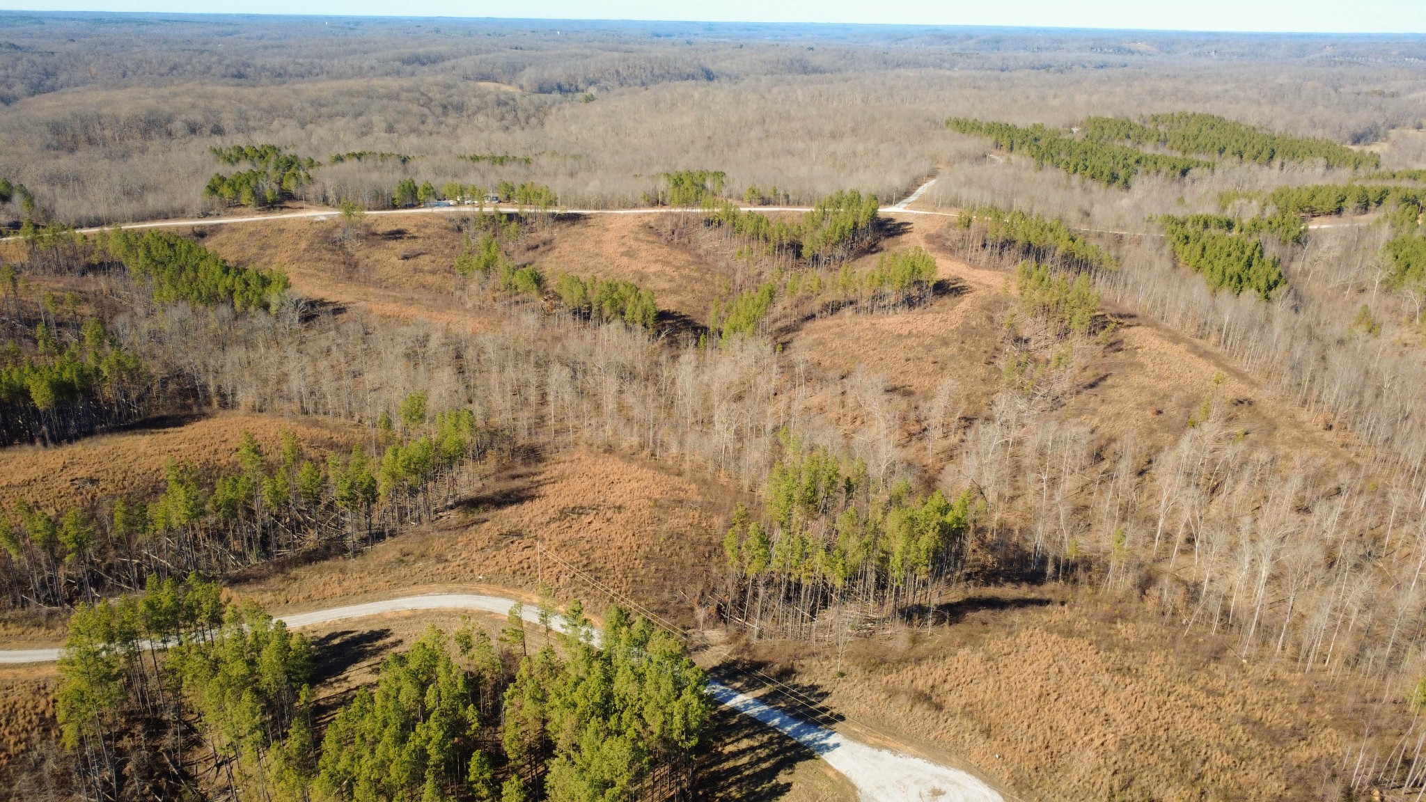 45 Saddleback Drive Dover TN 37058