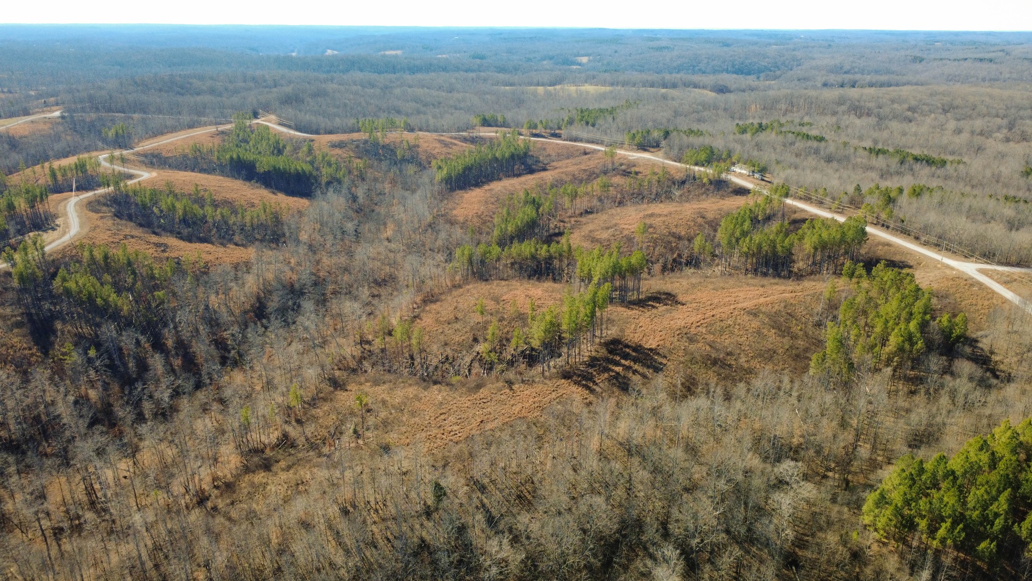 45 Saddleback Drive Dover TN 37058