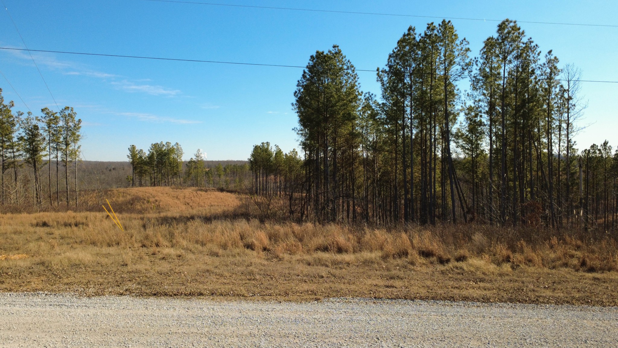 45 Saddleback Drive Dover TN 37058