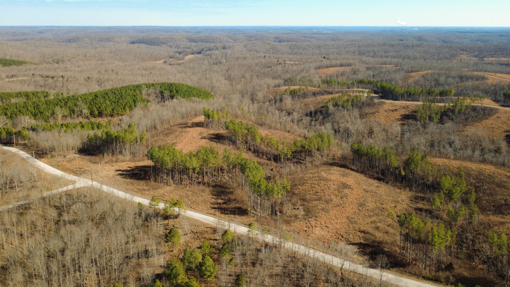 45 Saddleback Drive Dover TN 37058