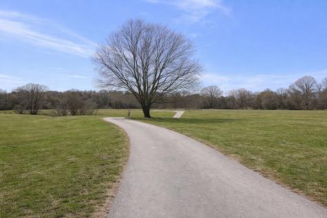 210 Cotton Lane Franklin TN 37069