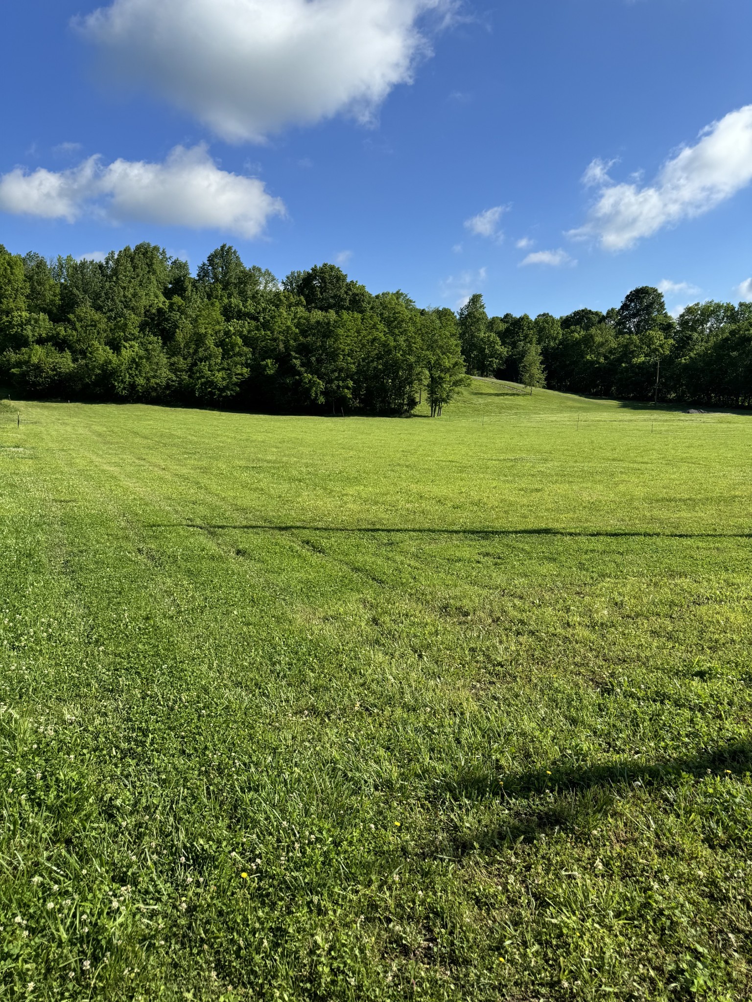 5946 Greenvale Road Watertown TN 37184