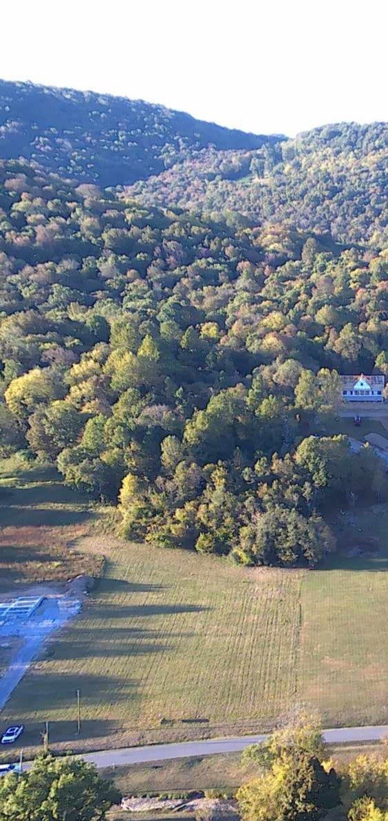 5946 Greenvale Road Watertown TN 37184