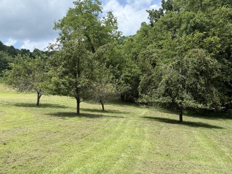 2145 Honey Prong Road Hartsville TN 37074