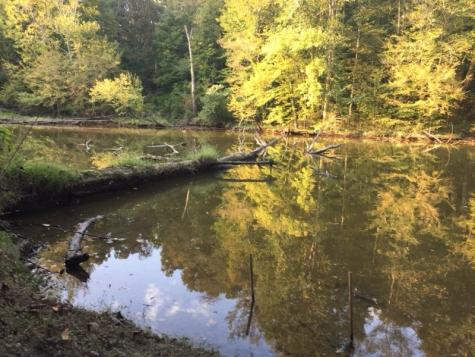 1321 Chapmansboro Road Chapmansboro TN 37035