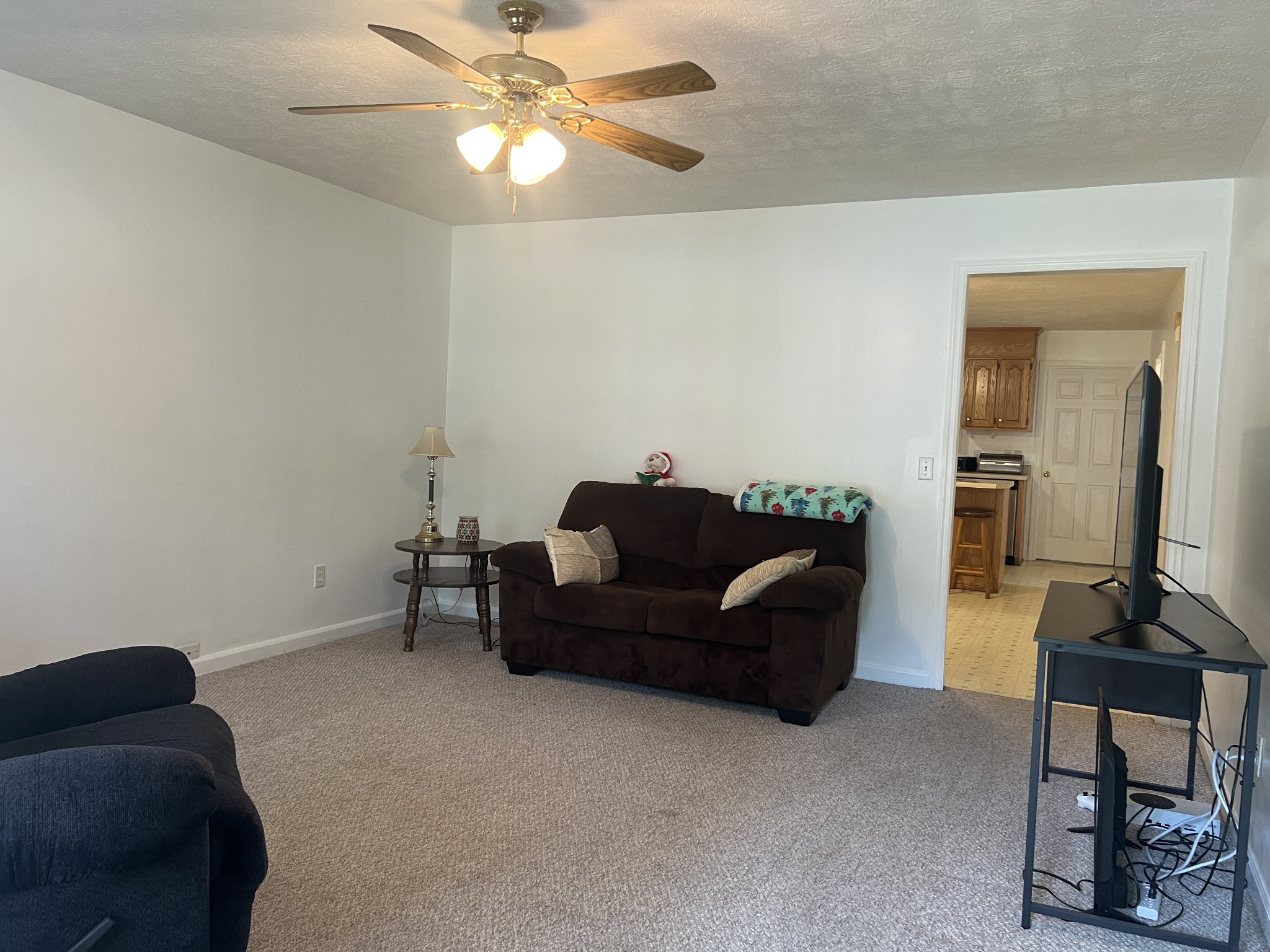 3117 Country Side Drive Centerville TN 37033