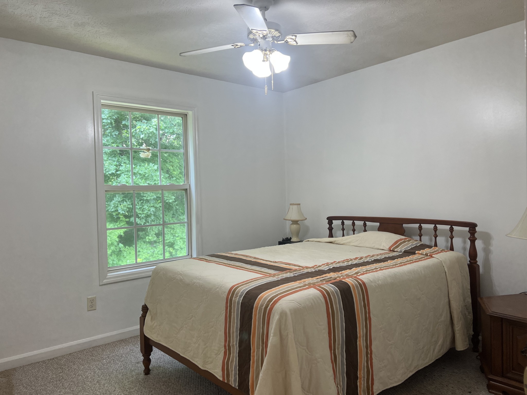 3117 Country Side Drive Centerville TN 37033