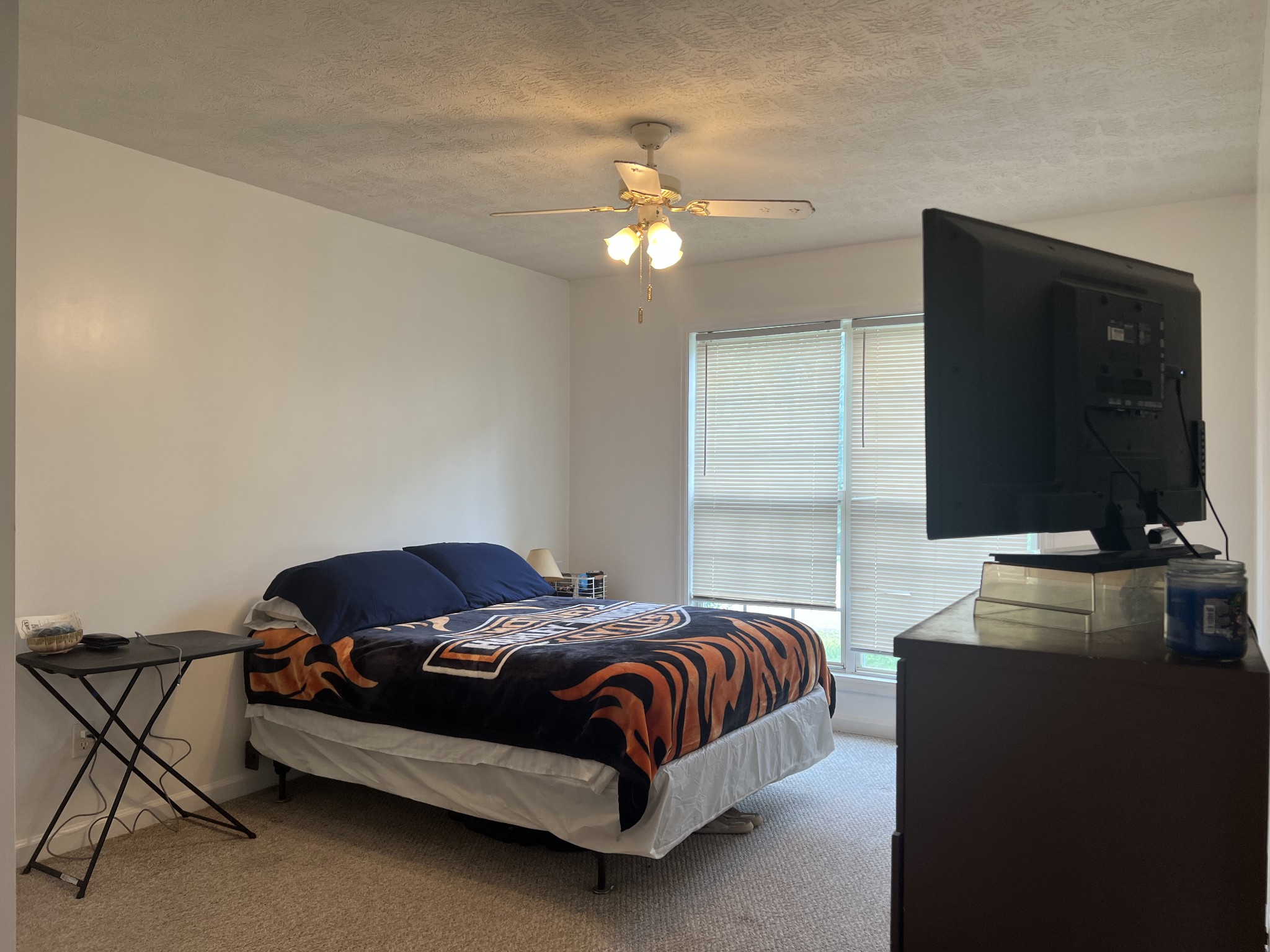 3117 Country Side Drive Centerville TN 37033